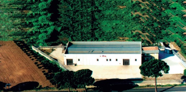 Azienda